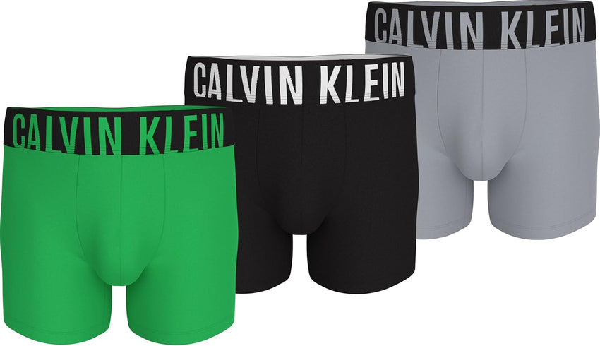 Calvin Klein mens Intense Power 3-pack Boxer Brief