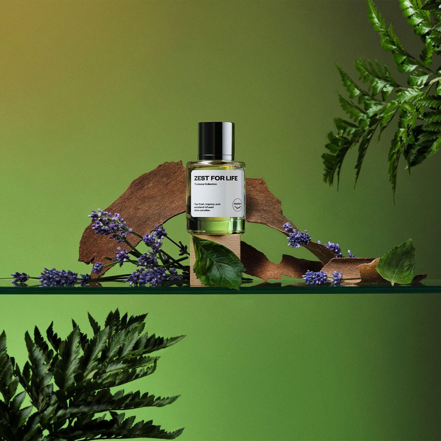Dossier Original Eau de Parfum - Zest for Life - Unisex - 50 ML Long-lasting Perfume Crafted in France