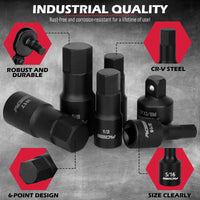 Hex Bit Impact Socket Set: 36-Piece with 4 Adapters, 1/4" 3/8" 1/2" Drive Master Allen Impact Socket Set, SAE and Metric, H5-H19 & 3/4"-5/64", Heavy Duty Storage Case, Automotive Mechanic