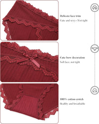 LEVAO Womens Underwear Cotton Cheeky Bikini Panties for Women Lace Stretch Hipster Ladies Briefs Multipack S-XXL