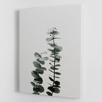 Eucalyptus Natural 03 Canvas Print or Poster - 7DAY'S