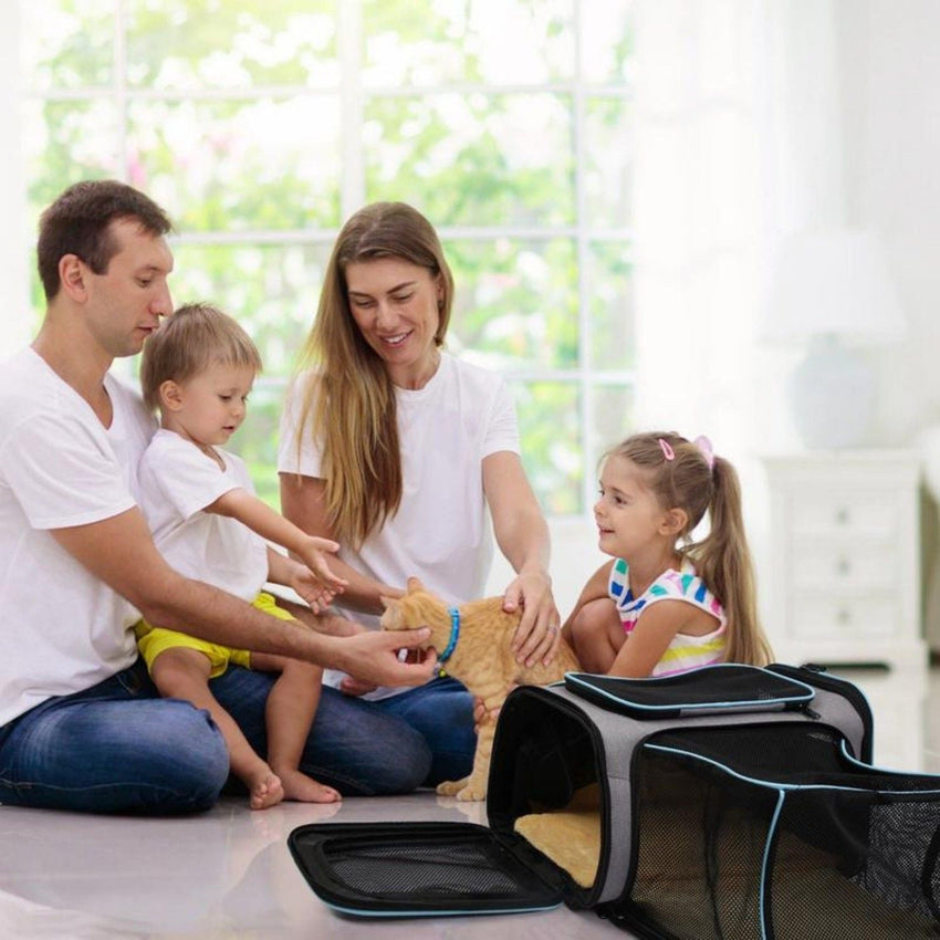 Expandable Pet Carrier Airline Approved Cat Dog Carrier Cat Collapsible Soft Carrier Bag with Removable Fleece Pad Pockets Breathable Mesh Adjustable Shoulder Strap Ban on Amazon sales - 7DAY'S