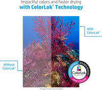 HP Printer Paper | 8.5 x 11 Paper | Copy &Print 20 lb | 1 Ream Case - 500 Sheets| 92 Bright | Made in USA - FSC Certified | 200060 - 7DAY'S