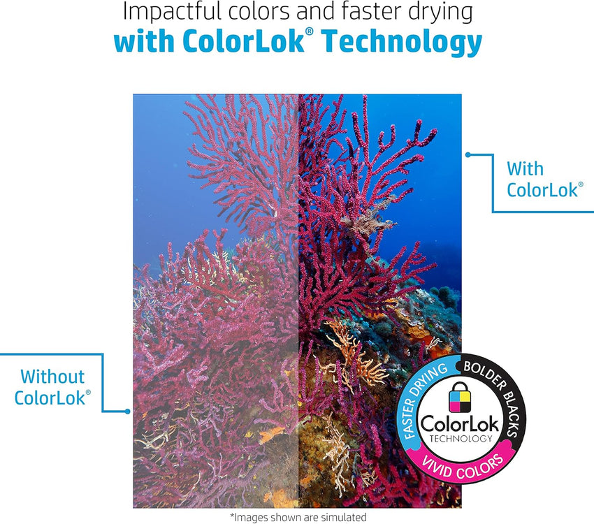 HP Printer Paper | 8.5 x 11 Paper | Copy &Print 20 lb | 1 Ream Case - 500 Sheets| 92 Bright | Made in USA - FSC Certified | 200060 - 7DAY'S