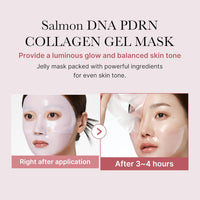 medicube Salmon DNA PDRN pink collagen jelly gel mask | overnight face mask for glass glow skin - elasticity, hydrating, firming and moisturizing | korean skincare, 28g, 4ea - 7DAY'S