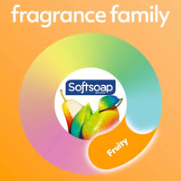 Softsoap Antibacterial Liquid Hand Soap Refill, White Tea & Berry Scented Hand Soap, 50 Ounce(Packaging May Vary) - 7DAY'S