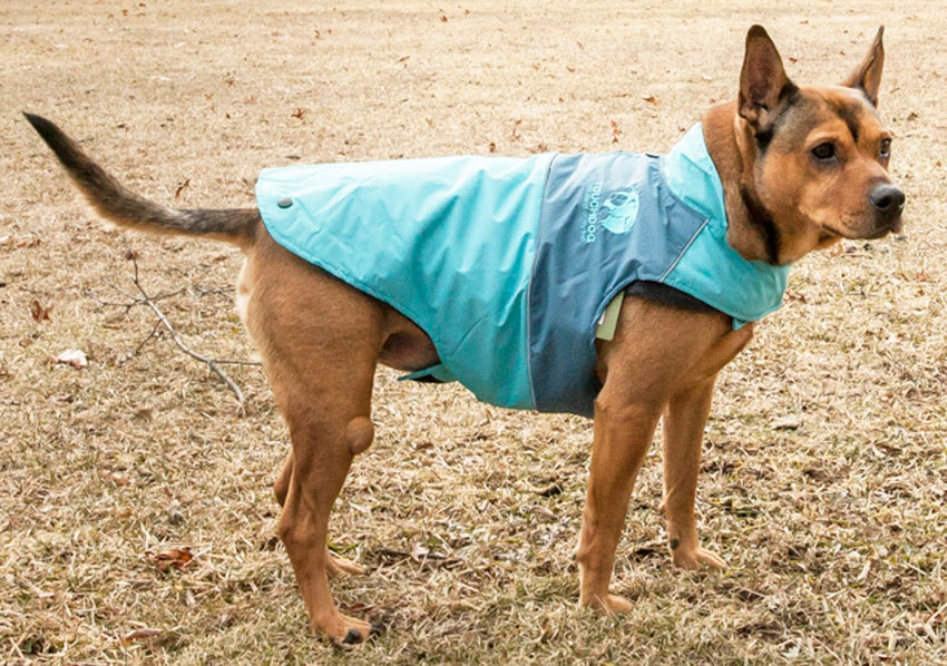 Touchdog Lightening - Shield Waterproof 2 - in - 1 Convertible Dog Jacket w/ Blackshark technology - 7DAY'S