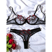Transparent Underwear Sexy Lingerie Woman Lace Fairy Embroidery Brief Sets Delicate Bra Kit Push Up Breves Sets Thin Erotic Bras - 7DAY'S