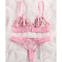 Transparent Underwear Sexy Lingerie Woman Lace Fairy Embroidery Brief Sets Delicate Bra Kit Push Up Breves Sets Thin Erotic Bras - 7DAY'S