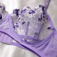 Transparent Underwear Sexy Lingerie Woman Lace Fairy Embroidery Brief Sets Delicate Bra Kit Push Up Breves Sets Thin Erotic Bras - 7DAY'S