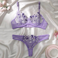 Transparent Underwear Sexy Lingerie Woman Lace Fairy Embroidery Brief Sets Delicate Bra Kit Push Up Breves Sets Thin Erotic Bras - 7DAY'S