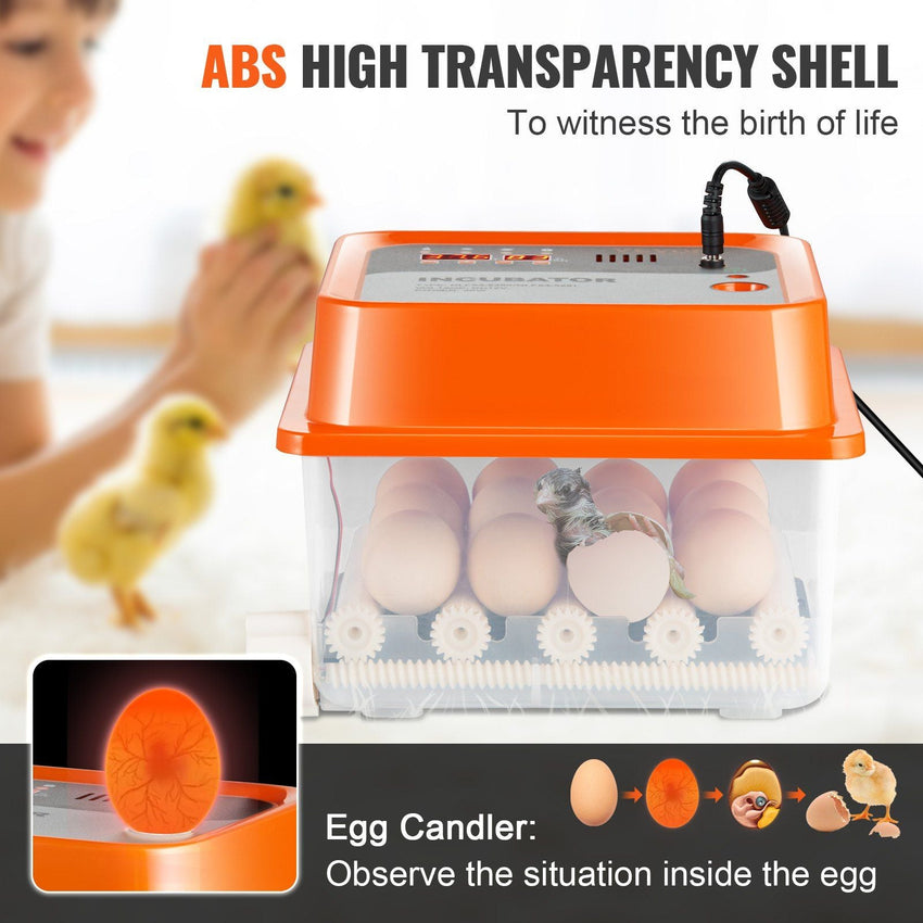 VEVOR Egg Incubator, Incubators for Hatching Eggs, Automatic Egg Turner with with Temperature and Humidity Control, 12 Eggs Poultry Hatcher with ABS Transparent Shell for Chicken, Duck, Quail - 7DAY'S