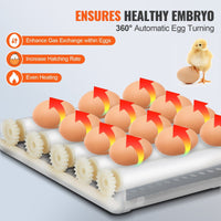 VEVOR Egg Incubator, Incubators for Hatching Eggs, Automatic Egg Turner with with Temperature and Humidity Control, 12 Eggs Poultry Hatcher with ABS Transparent Shell for Chicken, Duck, Quail - 7DAY'S