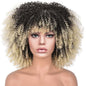 15Inch Curly Wigs for Black Women Afro Bomb Curly Wig - 7DAY'S