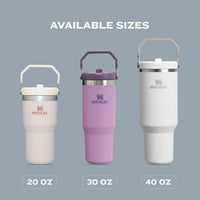 Stanley IceFlow Stainless Steel Tumbler - Vacuum Insulated Water Bottle for Home, Office or Car Reusable Cup with Straw Leak Resistant Flip Cold for 12 Hours or Iced for 2 Days, Navy, 30oz