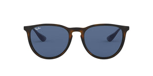 Ray-Ban Women's Rb4171 Erika Round Sunglasses