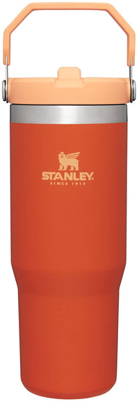 Stanley IceFlow Stainless Steel Tumbler - Vacuum Insulated Water Bottle for Home, Office or Car Reusable Cup with Straw Leak Resistant Flip Cold for 12 Hours or Iced for 2 Days, Navy, 30oz
