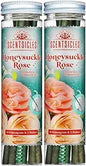 Scentsicles White Winter Fir Scented Christmas Tree Ornaments - 2 Bottles (12 Sticks Total)