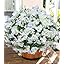 Ivydale Bougainvillea Artificial Flowers for Outdoors Spring Decor, 4 Bundles White Fake Outside Flowers Sillk UV Resistant Realistic Faux Plants for Outdoor Planters Porch Patio Window Garden