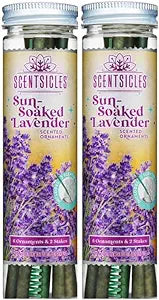 Scentsicles White Winter Fir Scented Christmas Tree Ornaments - 2 Bottles (12 Sticks Total)