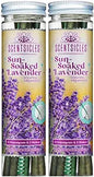 Scentsicles White Winter Fir Scented Christmas Tree Ornaments - 2 Bottles (12 Sticks Total)