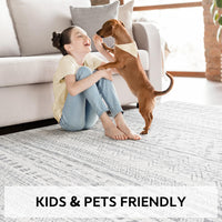 5x7 Area Rugs - Soft, Washable Neutral Boho Carpet for Living, Bedroom, Dining & Play Rooms - Indoor Brown - 7DAY'S