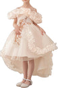 Girl's Princess Dress, Birthday Party, Pageant Gown - Ruffle Tulle Satin Princess Dresses with Kids Train