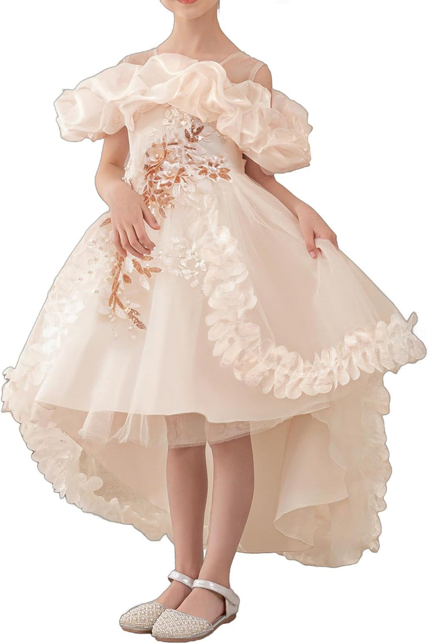 Girl's Princess Dress, Birthday Party, Pageant Gown - Ruffle Tulle Satin Princess Dresses with Kids Train