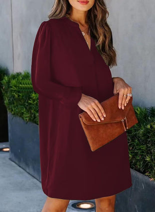 QACOHU Fall Dresses for Women 2025 Casual V Neck Long Sleeves Flowy Mini Tunic Dress