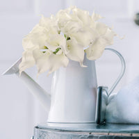 description_selected4