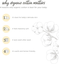 Burt's Bees Baby Girls' Pajamas, 2-Piece Long Sleeve Tee and Pants Organic Cotton PJ Set