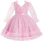 IMEKIS Toddler Kids Girls Tulle Dress Floral Embroidery Sparkly Wedding Party Long Sleeve Fall Photo Shoot Outfit 2-8T