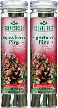 Scentsicles White Winter Fir Scented Christmas Tree Ornaments - 2 Bottles (12 Sticks Total)