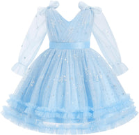 IMEKIS Toddler Kids Girls Tulle Dress Floral Embroidery Sparkly Wedding Party Long Sleeve Fall Photo Shoot Outfit 2-8T