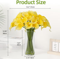description_selected1