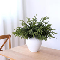 YXZZWL 16 Pcs Christmas Norfolk Pine Branches, 18 Inch Real Touch Artificial Norfolk Pine Branch Faux Cedar Pine Stem Fake Greenery Picks for Vase DIY Garland Wreath Home Decoration