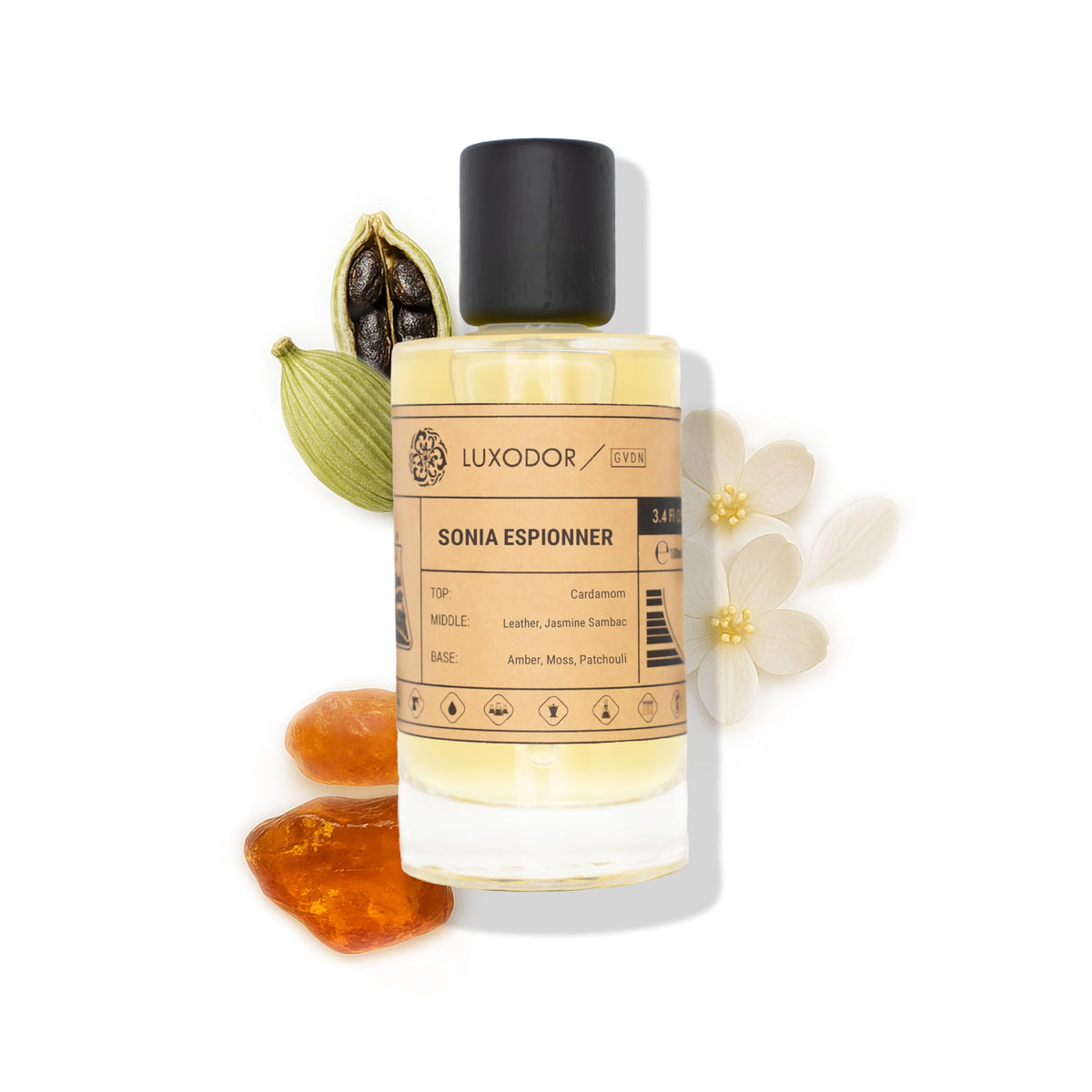 Inspired by Y S.L's B.lack O.pium 3.4 fl. oz (100ml) Damascus Poemy with Pheromone Roll-On Oil 10 ml | Women’s Dupes Fragrances | Long Lasting Perfume Vanilla for Women | Womens Perfume