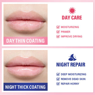 6 PCS Bee Lip Balm Honey Pot, Honey Strawberry Watermelon Apple Vanilla Peach Bee Lip Balm Sleeping Lip Mask Overnight with Sticks, Honey Pot Lip Balm Exfoliating Prevention Dry and Crack Lip Scrubs