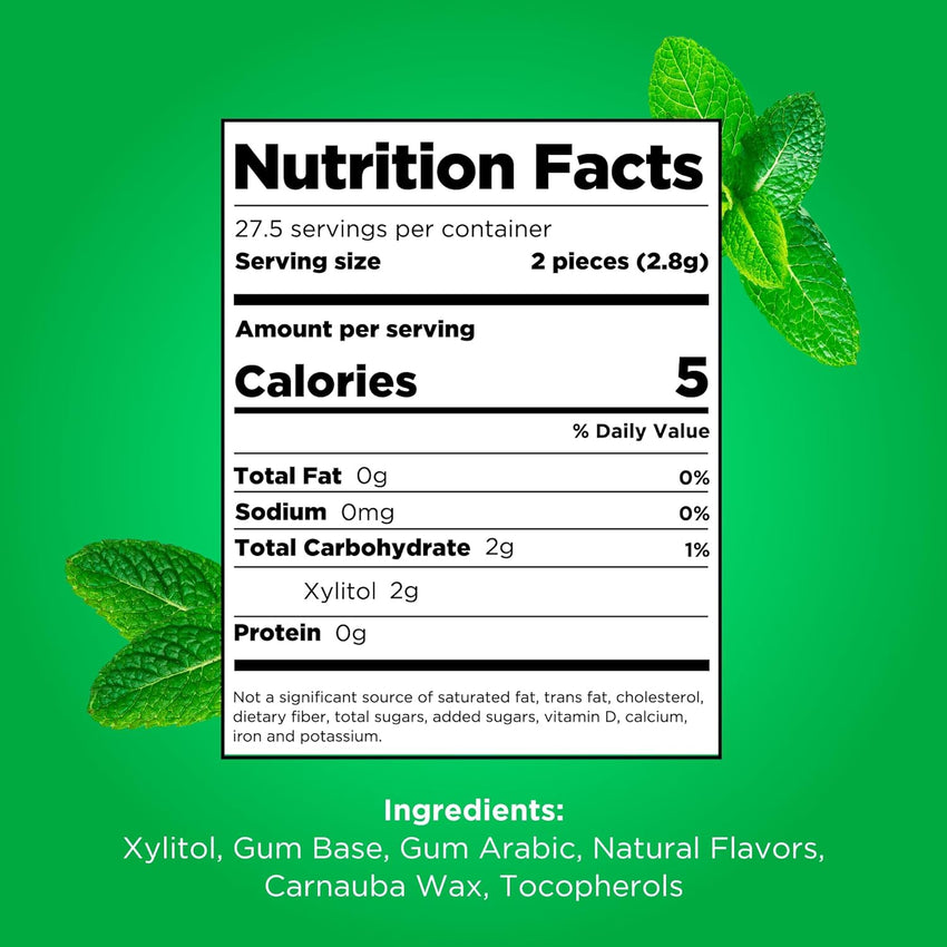 PUR Gum | Aspartame Free Chewing Gum | 100% Xylitol | Natural Spearmint Flavored Gum, 55 Pieces (Pack of 3)