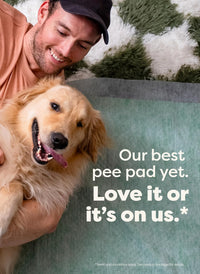 Earth Rated Max Absorbency Puppy Pee Pads for Dogs Absorbs 2X Faster & 2X More, Leak-Proof, Odor Control Potty Training, Unscented, Large, 22” x 23”, 40 Count