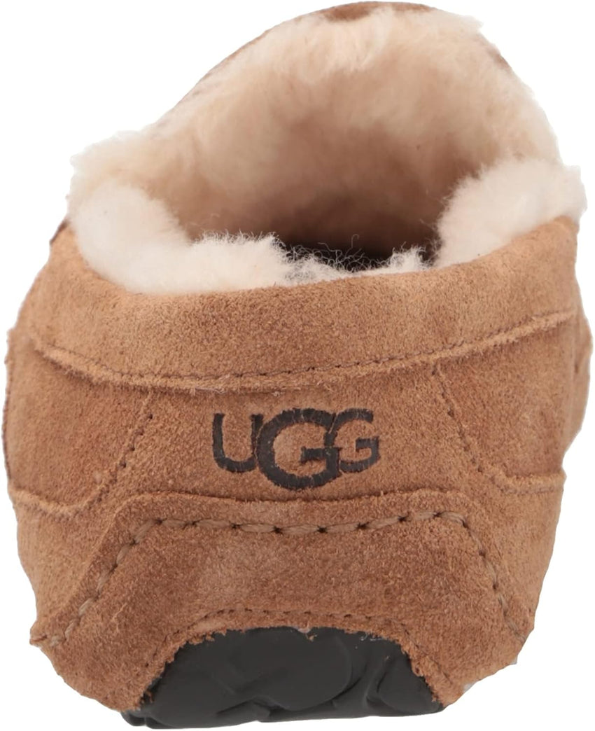 UGG Mens Ascot
