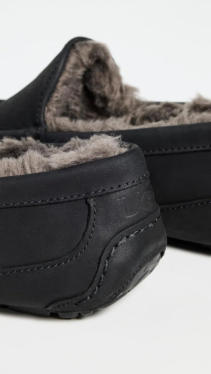 UGG Mens Ascot