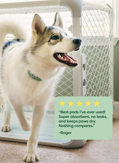 Earth Rated Max Absorbency Puppy Pee Pads for Dogs Absorbs 2X Faster & 2X More, Leak-Proof, Odor Control Potty Training, Unscented, Large, 22” x 23”, 40 Count