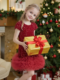 Tutu.kk Toddler Girls Sequin Dress A-Line Sparkly Sleeveless Wedding Gown Party Dresses for Girls