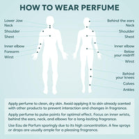 TWINS Impression of Le Beau | Perfume for Men Eau de Parfum | No.7720 | 3.4 Fl Oz / 100 ml