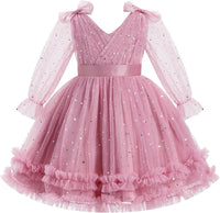 IMEKIS Toddler Kids Girls Tulle Dress Floral Embroidery Sparkly Wedding Party Long Sleeve Fall Photo Shoot Outfit 2-8T