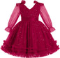 IMEKIS Toddler Kids Girls Tulle Dress Floral Embroidery Sparkly Wedding Party Long Sleeve Fall Photo Shoot Outfit 2-8T