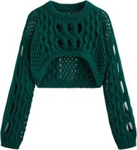 CIDER Cropped Sweaters for Women Knit Round Neckline Hollow Out Long Sleeve Crop Top Sweaters