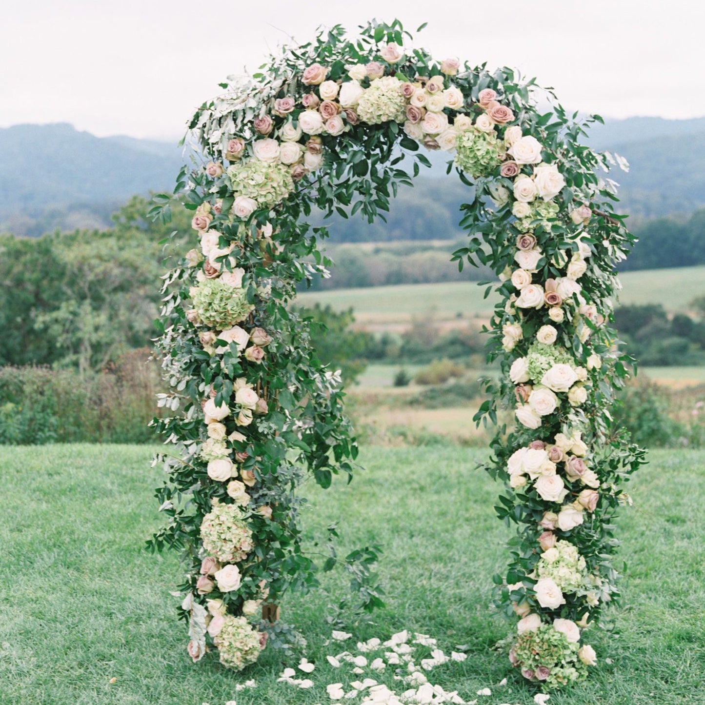 7DAY'S 78"H x 45"W Metal Garden Arch Trellis; Adjustable Arbor Trellis for Garden Climbing Plants Support or Wedding Decor - 7DAY'S