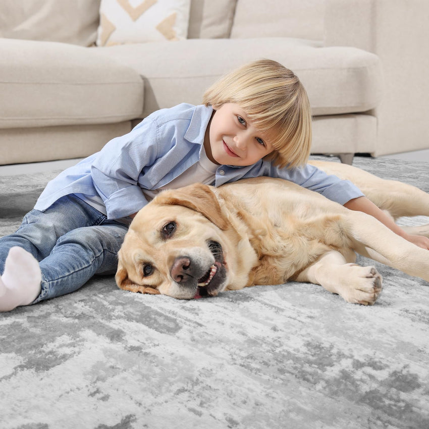 8 x 10 Area Rugs for Living Room - Non Slip Area Rug Machine Washable Rug Carpet Ultra Soft Shaggy Fluffy Rug Abstract Modern Rug for Bedroom Playroom Dining Room Office Under Bed Table - 7DAY'S